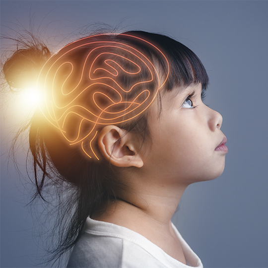 Imatge representativa del projecte